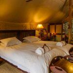 Plains Camp @ Rhino Walking Safaris: Stay 3 nights for the price of 2