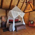 Amakhala Bush Lodge