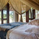 Dulini Leadwood Private Game Lodge