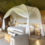 Singita Faru Faru Lodge: Stay 4 nights for the price of 3
