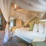 Kambaku Safari Lodge: Stay 4 nights for the price of 3