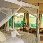 Bomani Tented Lodge: Stay 3 nights for the price of  2