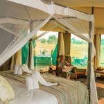 Bomani Tented Lodge: Stay 3 nights for the price of 2