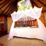 Mwamba Bush Camp