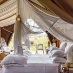 Singita Mara River Tented Camp