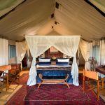 Duba Explorers Camp