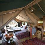 Selinda Explorers Camp: Stay 4 nights for the price of 3