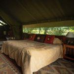 Governors Camp Collection 4 Night Offer
