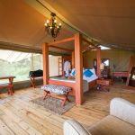 Asanja Grumeti Camp: Stay 4 nights for the price of 3