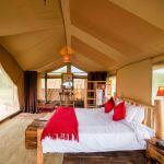 Asanja Moru Camp: Stay 4 nights for the price of 3