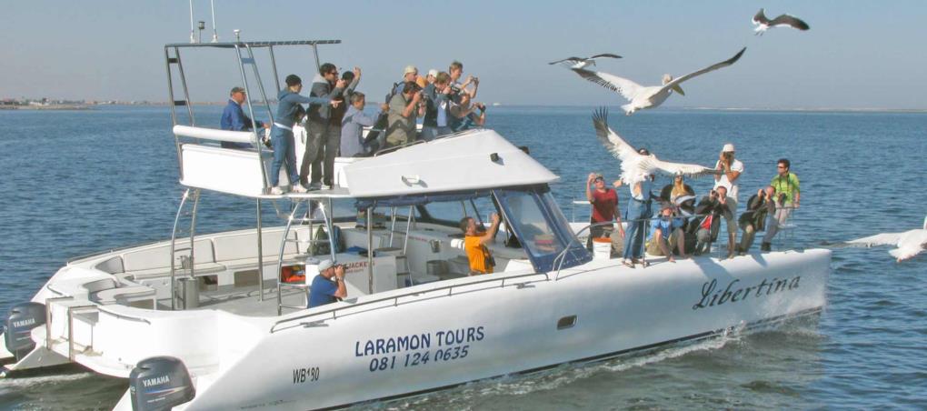 catamaran cruise swakopmund