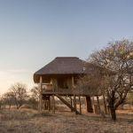 nThambo Tree Camp