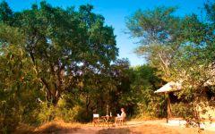 Gomo Gomo Game Lodge