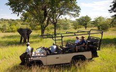 Gomo Gomo Game Lodge