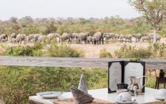 Gomo Gomo Game Lodge