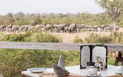 Simbambili Game Lodge