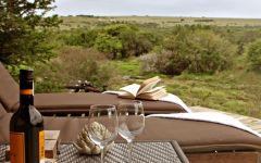 Gomo Gomo Game Lodge