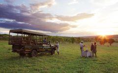Gomo Gomo Game Lodge