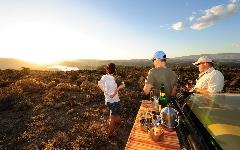 Gomo Gomo Game Lodge
