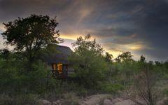 Sabi Sabi Little Bush Camp