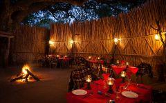 Gomo Gomo Game Lodge