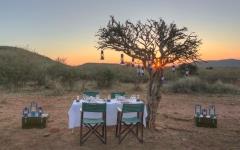 Gomo Gomo Game Lodge
