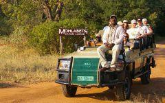 Gomo Gomo Game Lodge