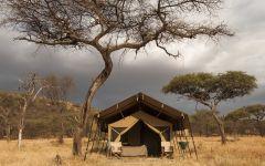 Serengeti Kati Kati Camp