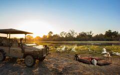 Gomo Gomo Game Lodge