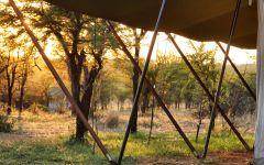 Serian's Serengeti North Camp