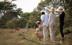 AndBeyond Phinda Forest Lodge