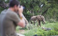 Gomo Gomo Game Lodge