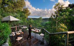 Gomo Gomo Game Lodge