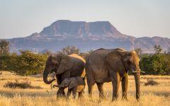 Damaraland Camp