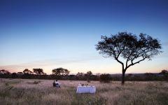 Londolozi Tree Camp