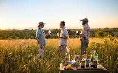Gomo Gomo Game Lodge