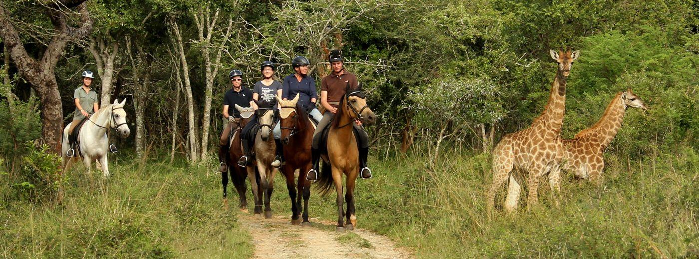 Game Drives and Horseback Safaris