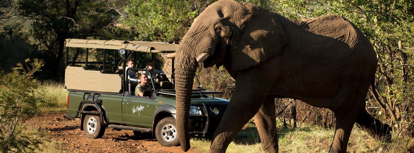 Kwa Maritane Bush Lodge