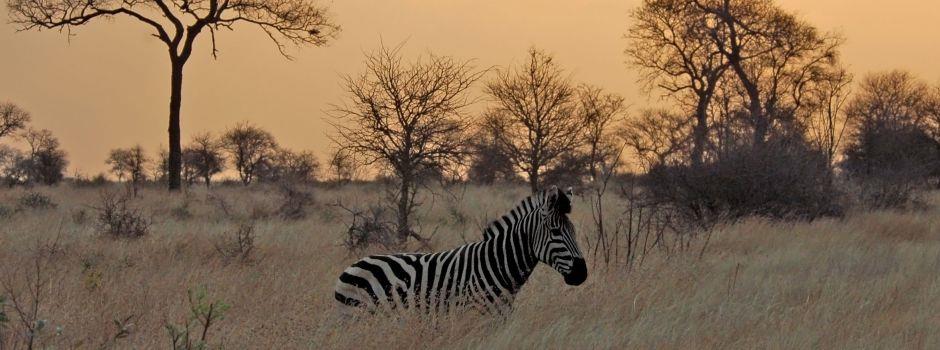 Shibula Lodge