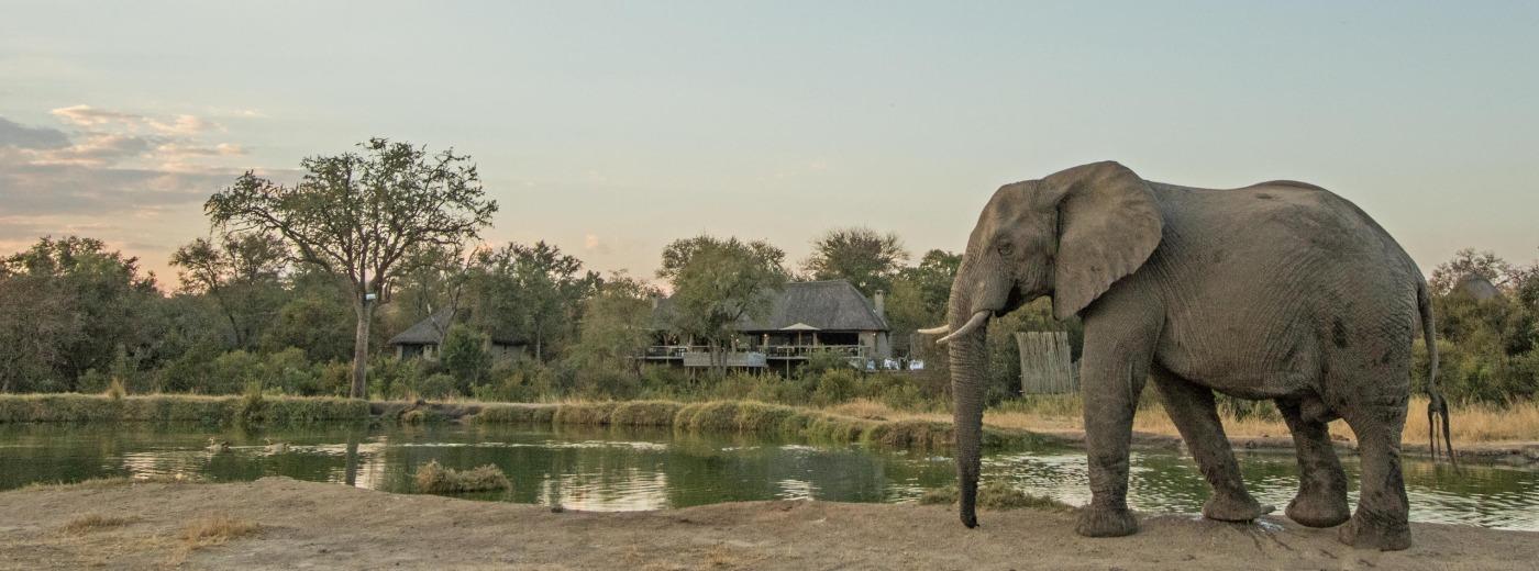 Simbambili Game Lodge