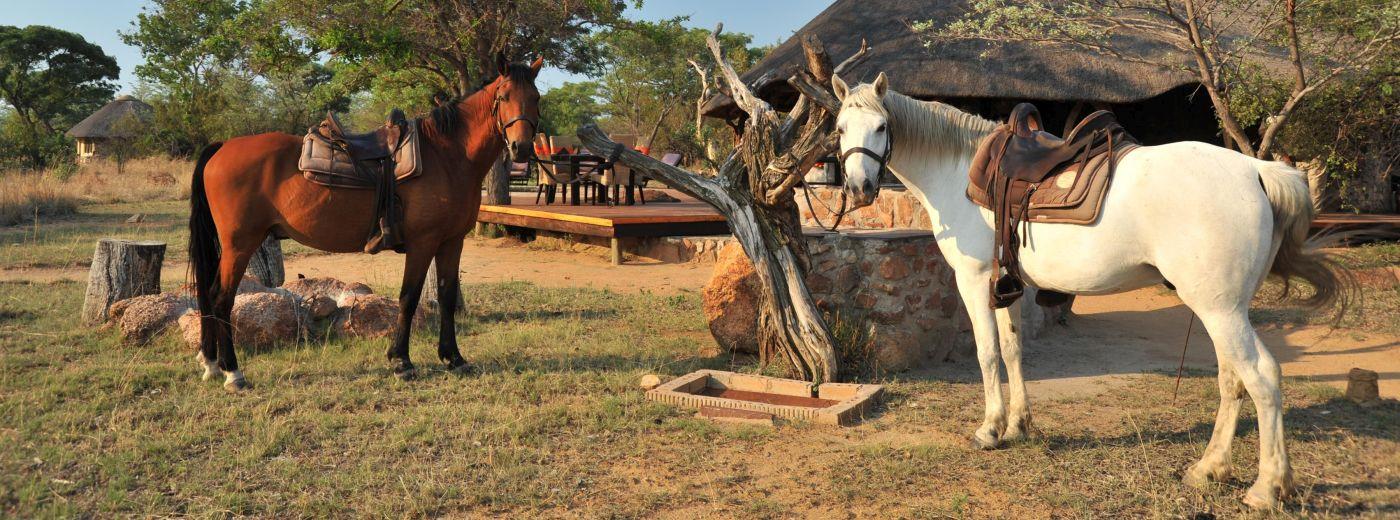 Kwafubesi Tented Safari Camp