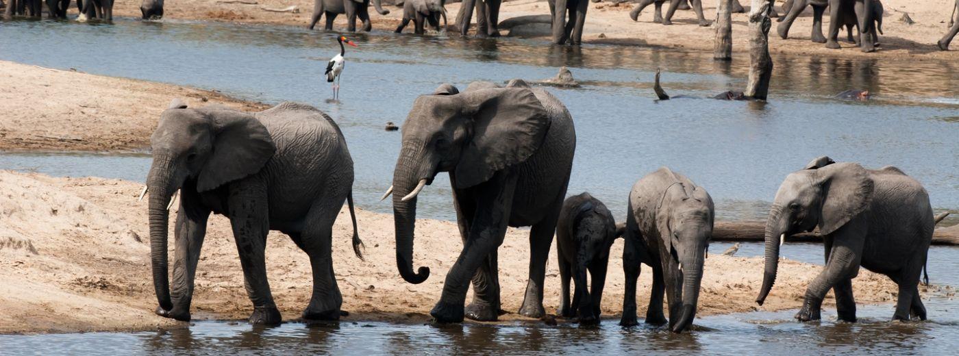 Ulusaba Rock Lodge