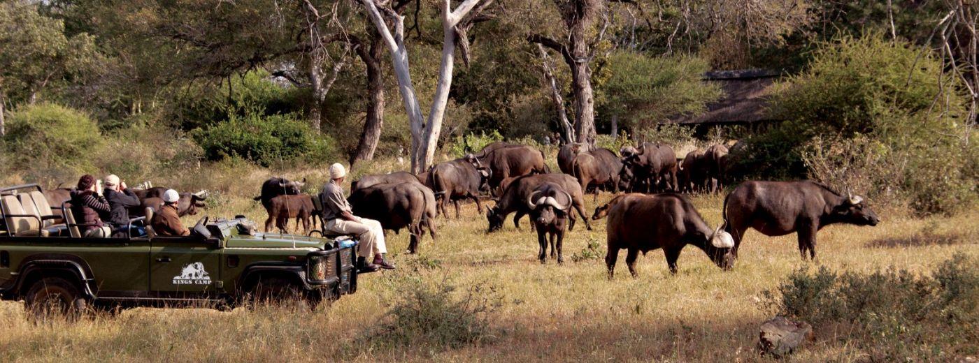 Kings Camp Private Game Reserve