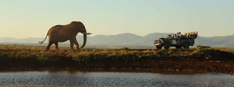 Thanda Safari Lodge