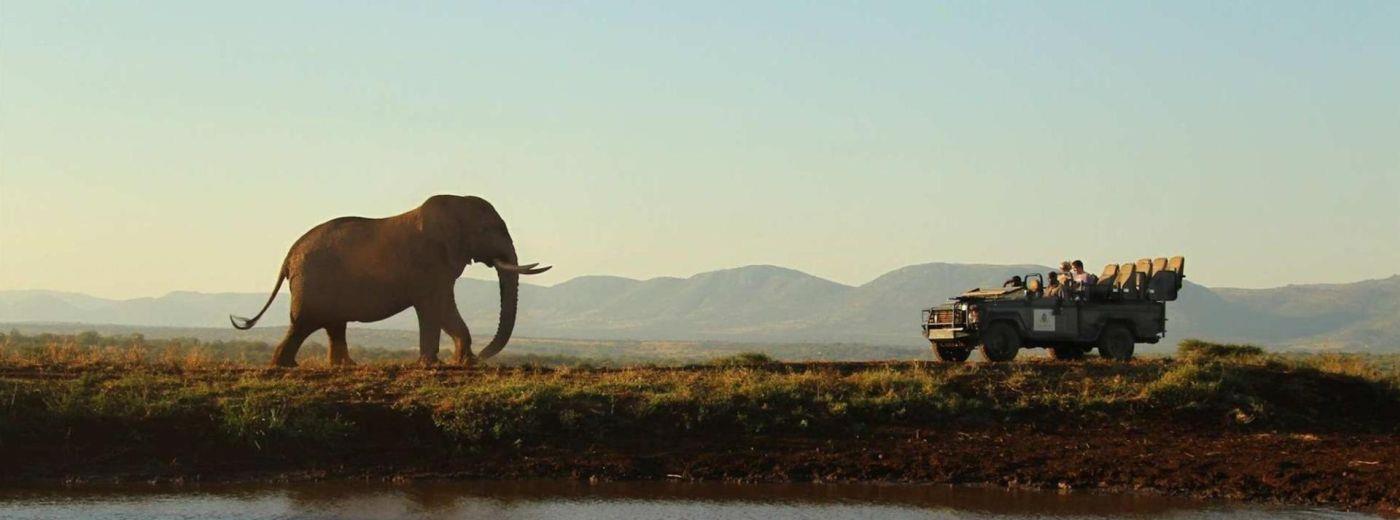 Thanda Tented Camp