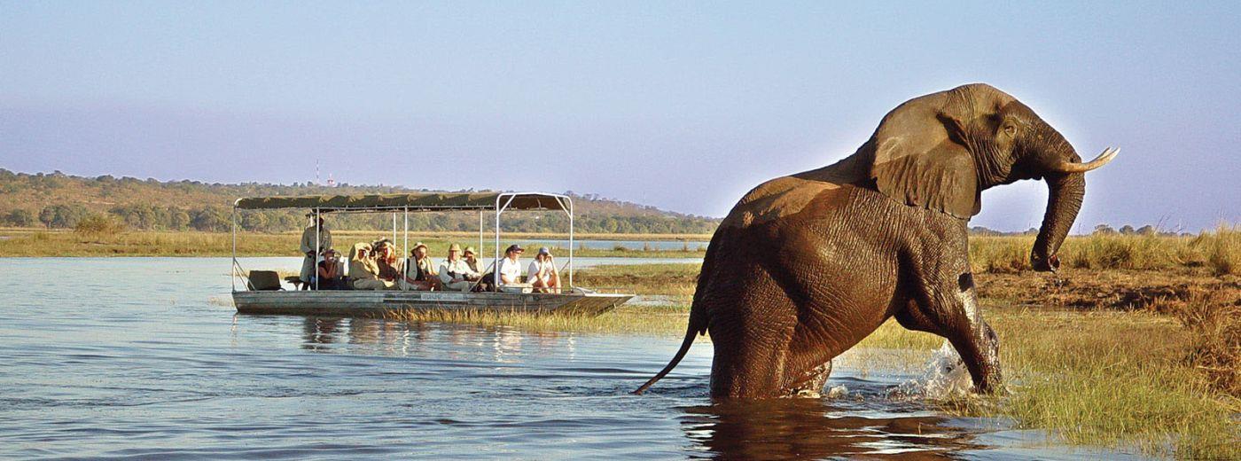 Victoria Falls and Chobe Standard Getaway Package