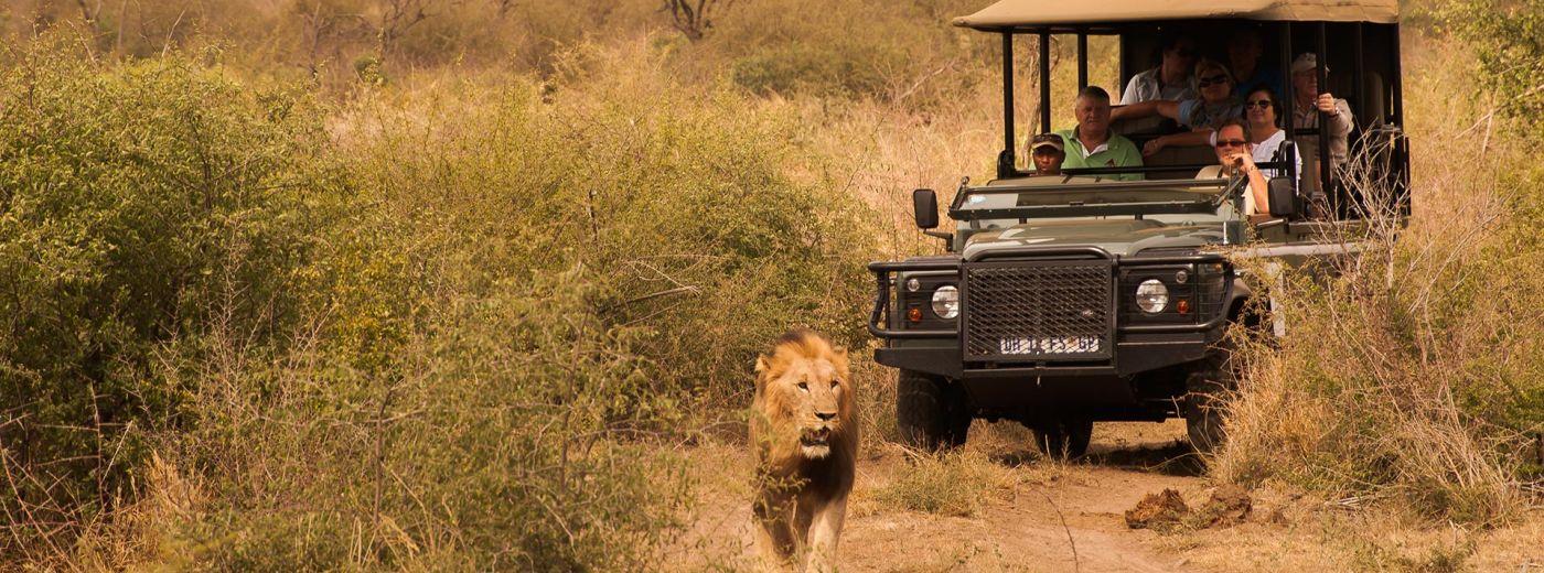 Mosetlha Bush Camp