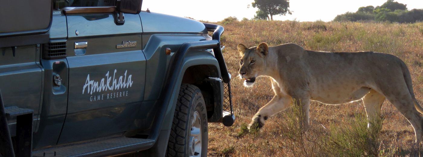 Woodbury Tented Camp