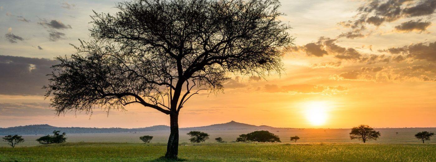 Singita Sabora Tented Camp