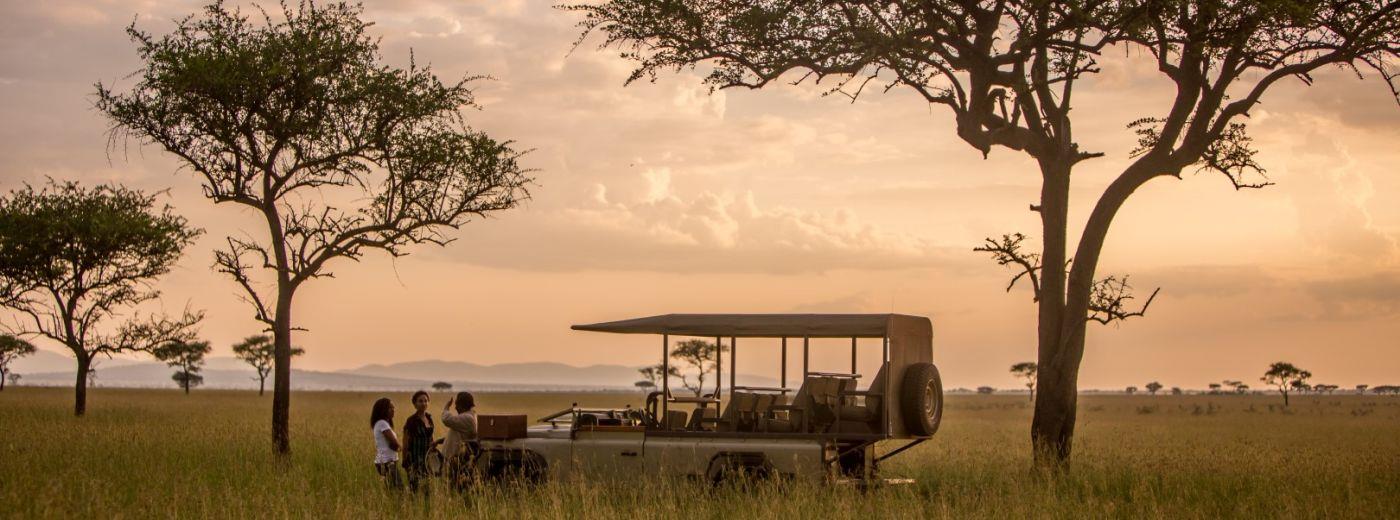 Singita Faru Faru Lodge